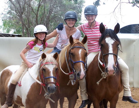 Billabong Ranch Adventure Park - Accommodation QLD 2