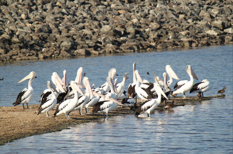 Bjelke-Petersen Dam - Accommodation QLD 2