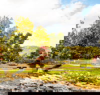 Bright - Accommodation QLD