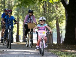 Book Beechworth VIC Attractions Accommodation QLD Accommodation QLD