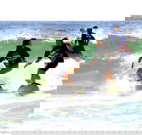 Broadbeach Surf School - Accommodation QLD