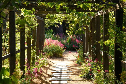 Buda Historic Home & Garden - Accommodation QLD 2