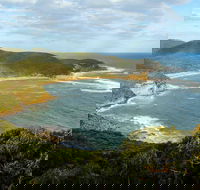 Bullimah Spur Track - Accommodation QLD