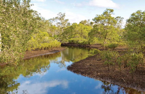 Canoe Evans River Paddle Route - Accommodation QLD 0