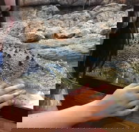 Canberra Reptile Zoo - Accommodation QLD