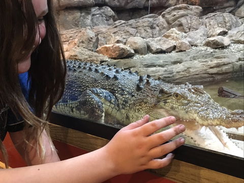 Canberra Reptile Zoo - Accommodation QLD 0