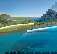 Cape Tribulation Daintree National Park - Accommodation QLD