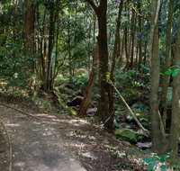 Cascades Walk - Accommodation QLD