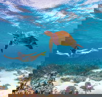 Coral Bay - Accommodation QLD