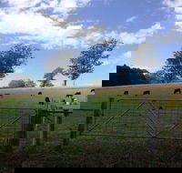 Coramba - Accommodation QLD