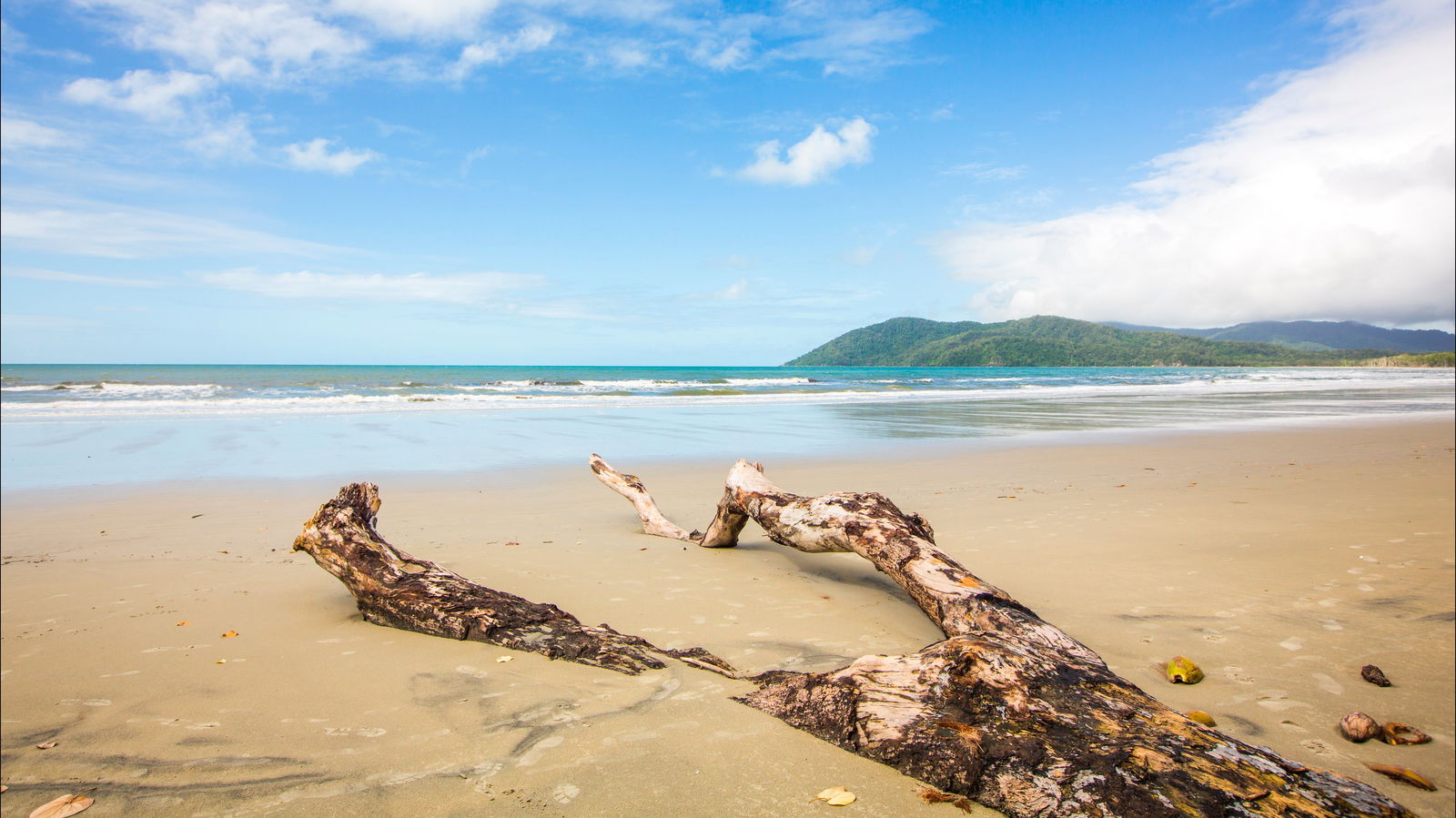 Cow Bay QLD Accommodation QLD