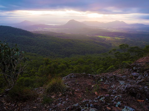 Cunninghams Gap And Spicers Gap, Main Range National Park - Accommodation QLD 0