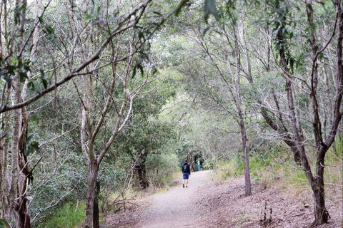 D'Aguilar National Park - Accommodation QLD 2