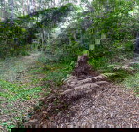 Double Wharf Trail - Accommodation QLD