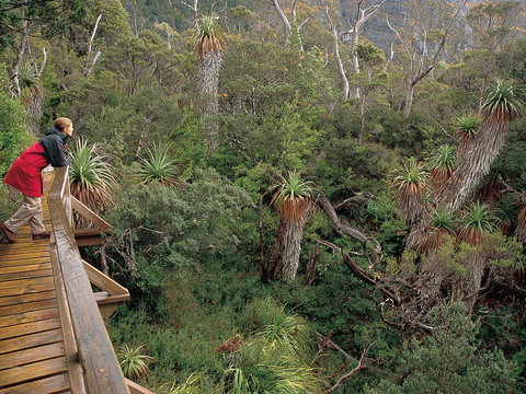 Dove Lake - Accommodation QLD 1