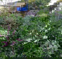 Down to Earth Permaculture - Accommodation QLD
