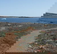 Elliston Coastal Trail - Accommodation QLD