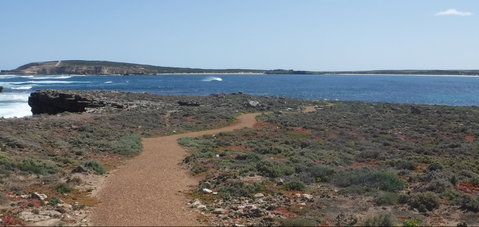 Elliston Coastal Trail - Accommodation QLD 0