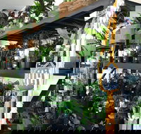 Fancy Plants - Accommodation QLD