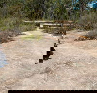 Finchley Cultural Walk - Accommodation QLD