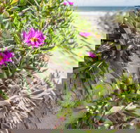 Fort Bribie - Accommodation QLD