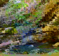 Glimpse of the Outback 5 Day Tour - Roma and Surrounds - Accommodation QLD