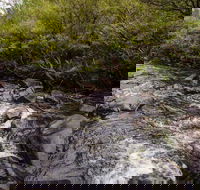 Gloucester River walking track - Accommodation QLD