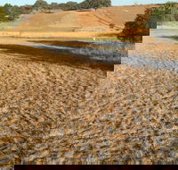 Gunning Golf Club - Accommodation QLD