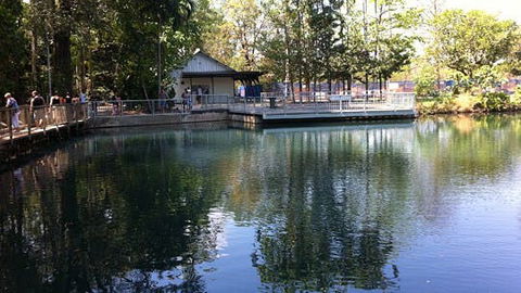 Howard Springs Nature Park - Accommodation QLD 1