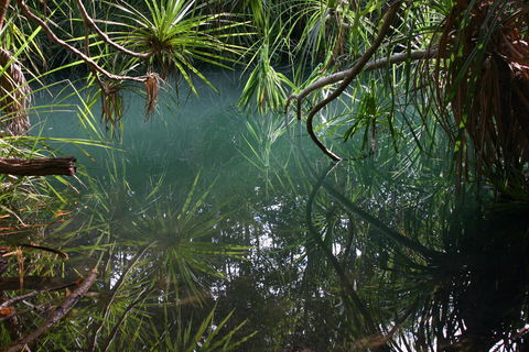 Howard Springs Nature Park - Accommodation QLD 2