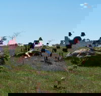 Jim Salmon  Wetland Education Site - Accommodation QLD