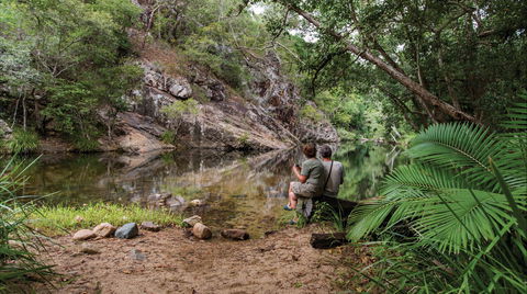 Jourama Falls, Paluma Range National Park - Accommodation QLD 1