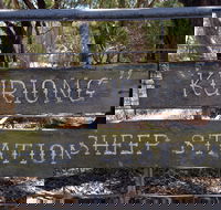 Kuriong Sheep Station - Accommodation QLD