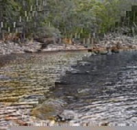 Lake Rowallan - Accommodation QLD