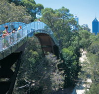 Law Walk - Kings Park - Accommodation QLD