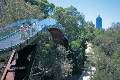 Law Walk - Kings Park - Accommodation QLD 0
