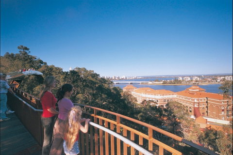 Law Walk - Kings Park - Accommodation QLD 1