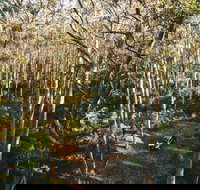 Leeuwin-Naturaliste National Park - Cowaramup - Accommodation QLD