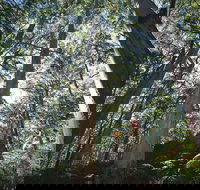 Leeuwin-Naturaliste National Park - Leeuwin - Accommodation QLD