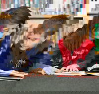 Maitland City Library - Accommodation QLD