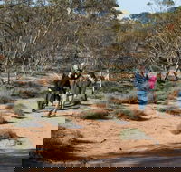 Mallee Stop walking track - Accommodation QLD