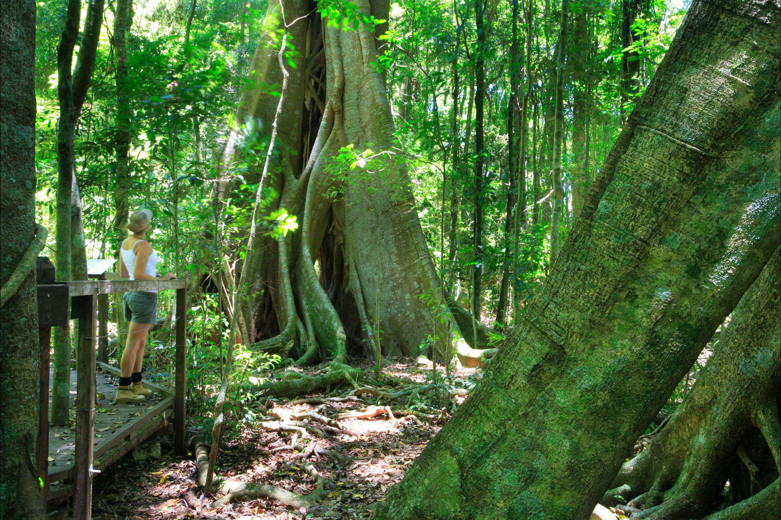 Reesville QLD Accommodation QLD