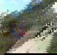 Meningie Lions Walking Trail - Accommodation QLD