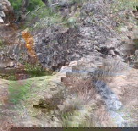 Mill-bullah Walking Track - Accommodation QLD