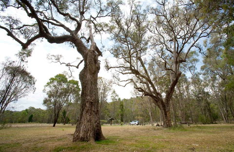 Moolarben Picnic Area - Accommodation QLD 0