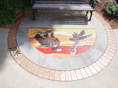 Mosaic Pathway (WASS) - Accommodation QLD 2