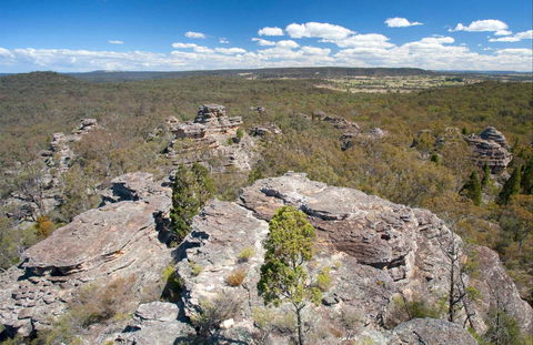 Munghorn Gap Nature Reserve - Accommodation QLD 0
