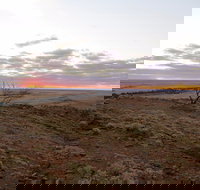 Mundi Mundi Plains - Accommodation QLD