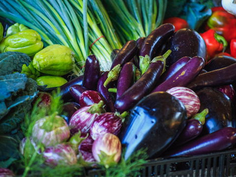 Murwillumbah Farmers' Market - Accommodation QLD 1
