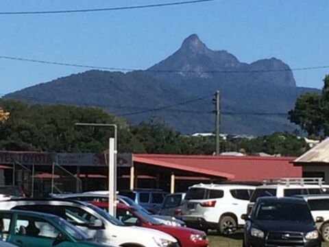 Murwillumbah Farmers' Market - Accommodation QLD 2